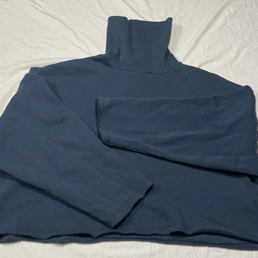 american eagle cropped turtleneck sweatshirt
